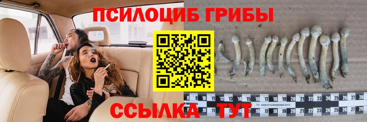 Псилоцибиновые грибы мухоморы  Вход с VPN  Барабинск  купить  цена  Псилоцибиновые грибы ЛСД 